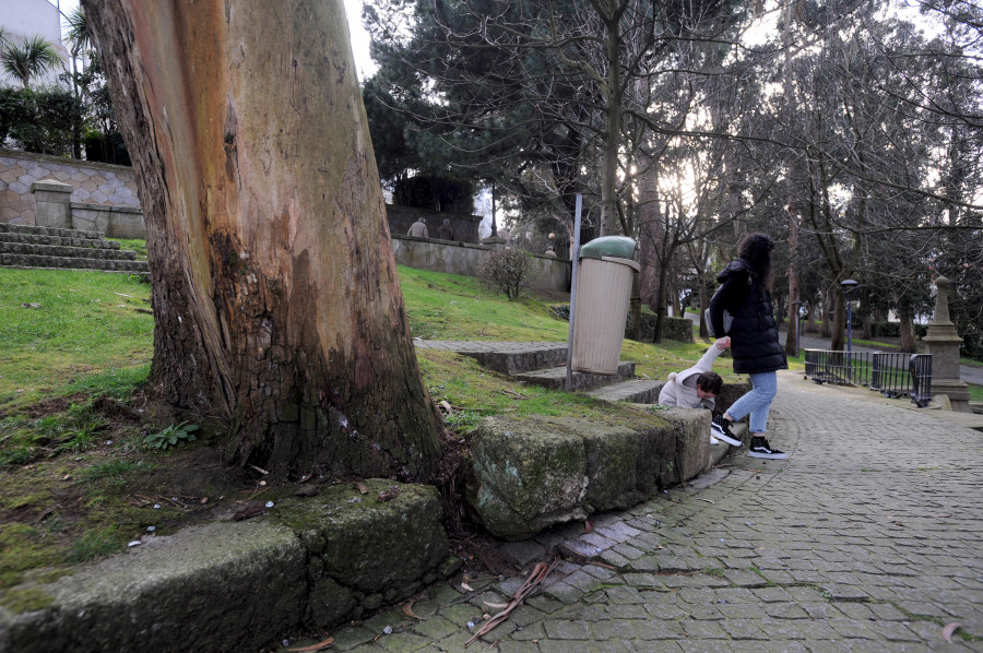 El Gobierno busca una solución para el deficiente cuidado que arrastran los jardines no históricos