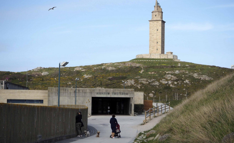 El Aquarium Finisterrae instala una guardería de organismos marinos