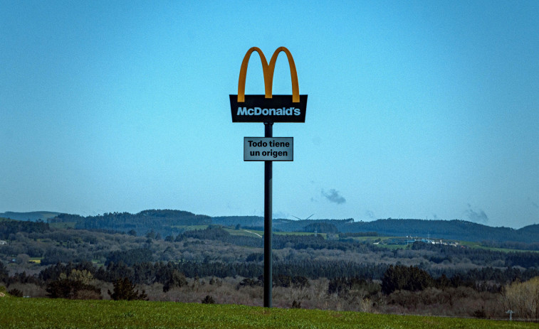 Las vacas del McDonald's pastan en Cospeito