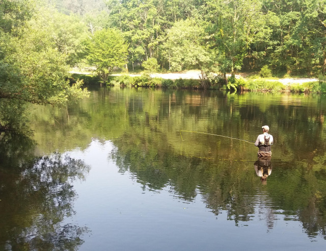 Pesca