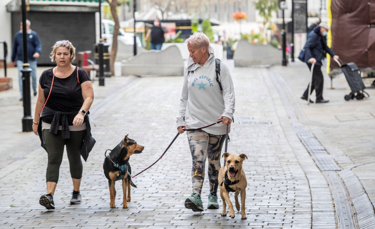 España es uno de los países europeos donde más animales se abandonan