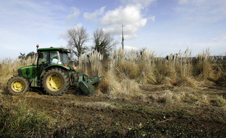 Un hombre muere en Melide al cortarse en el pecho con una máquina agrícola