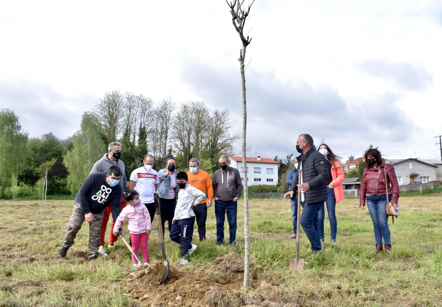 Cambre planta una arboleda con especies autóctonas en el local social de Meixigo