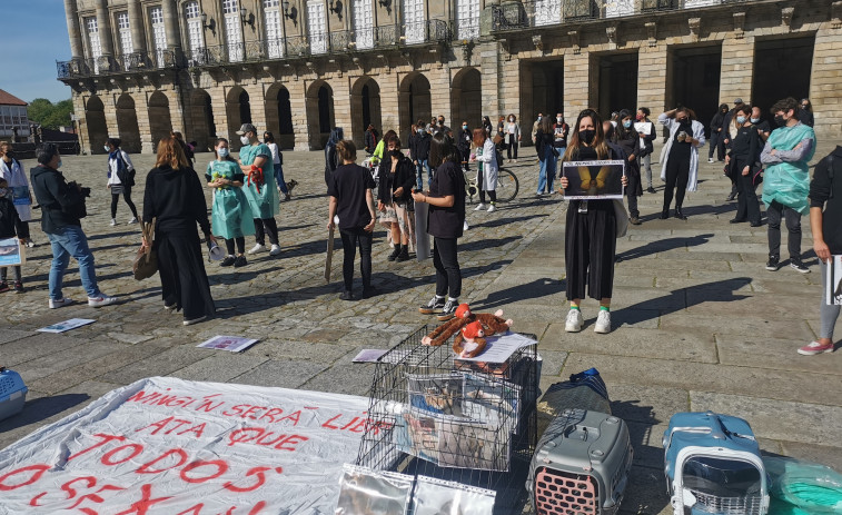 Decenas de personas se concentran en Santiago en contra de Vivotecnia y la 