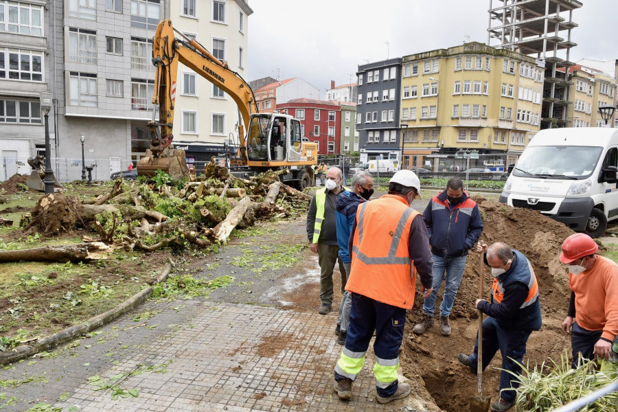 El Ayuntamiento  tala todos los árboles de la plaza de Padre Rubinos ante la alarma vecinal