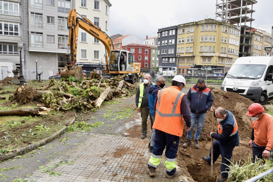 El Ayuntamiento  tala todos los árboles de la plaza de Padre Rubinos ante la alarma vecinal