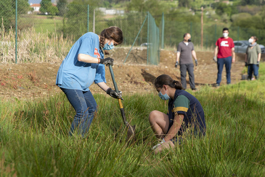 Reforestación en Cullergondo por el Día de la Tierra