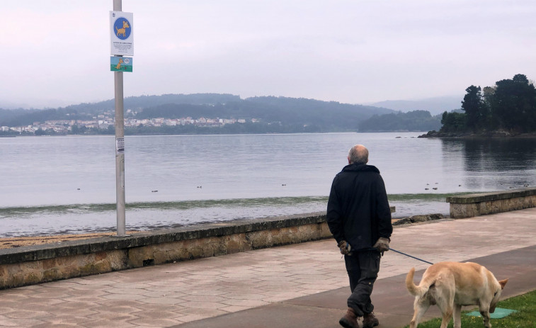 Sada permitirá el acceso de mascotas a los arenales en las noches de verano