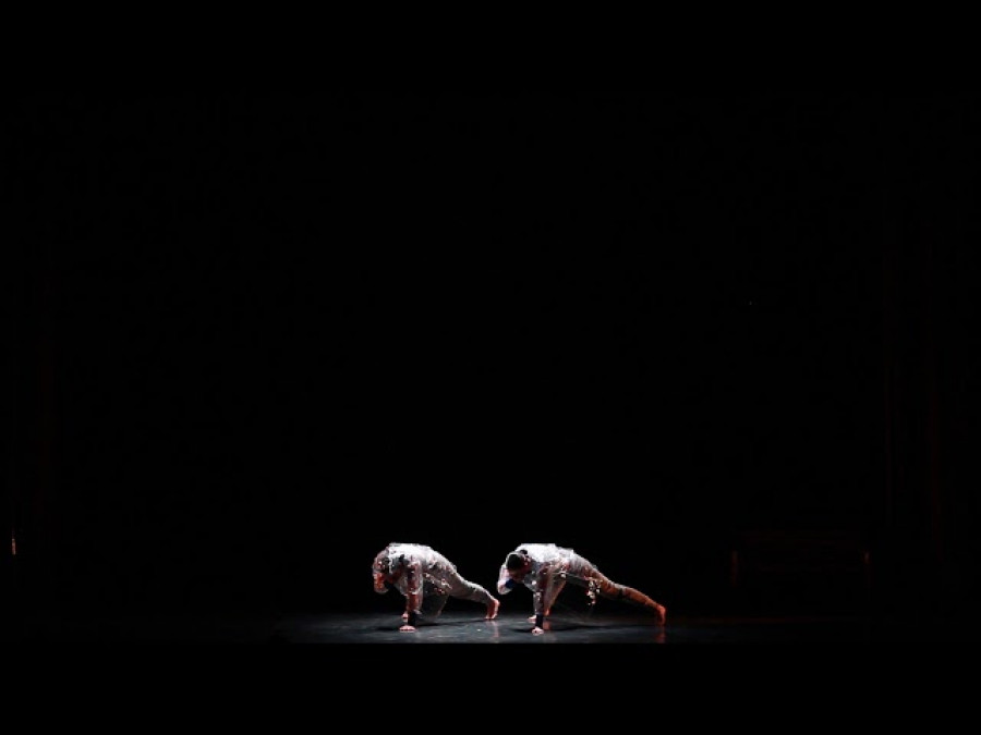 La compañía de danza Elahood coproducirá una obra con el Centro Coreográfico Galego