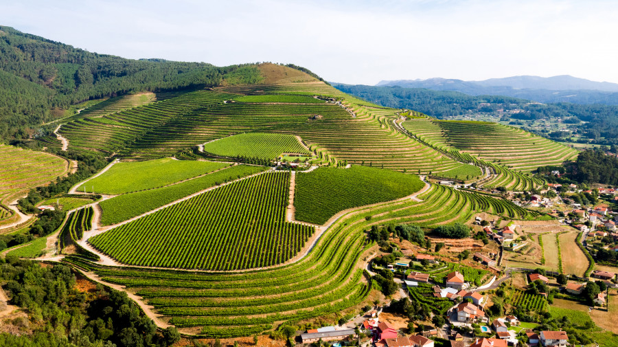 Altos de Torona, el vino sostenible que respira Atlántico
