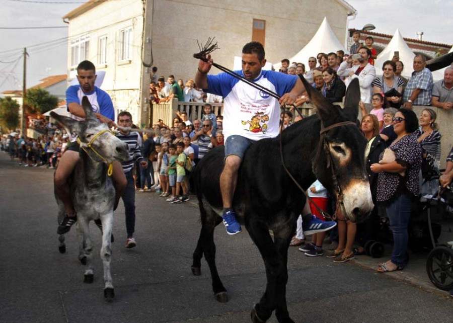 La sospecha sobre un burro machote