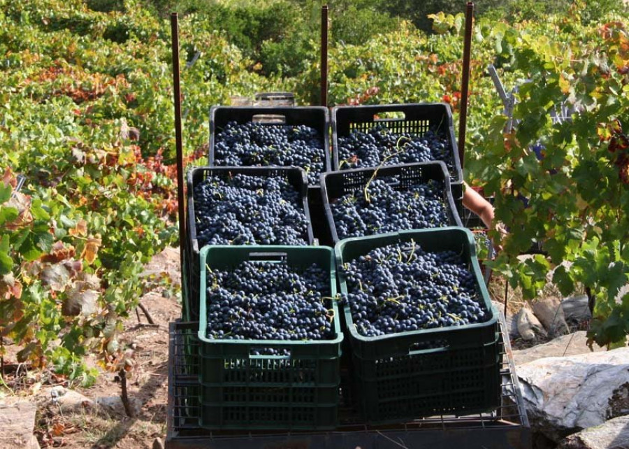 El lugar perfecto para colocar una bodega  de la Ribeira Sacra