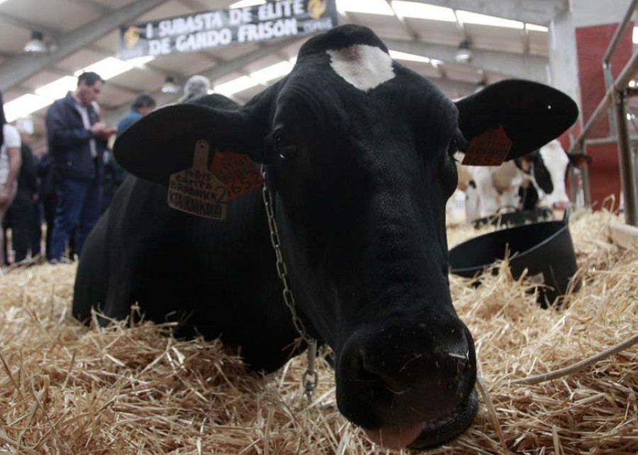 La solución para el rural gallego