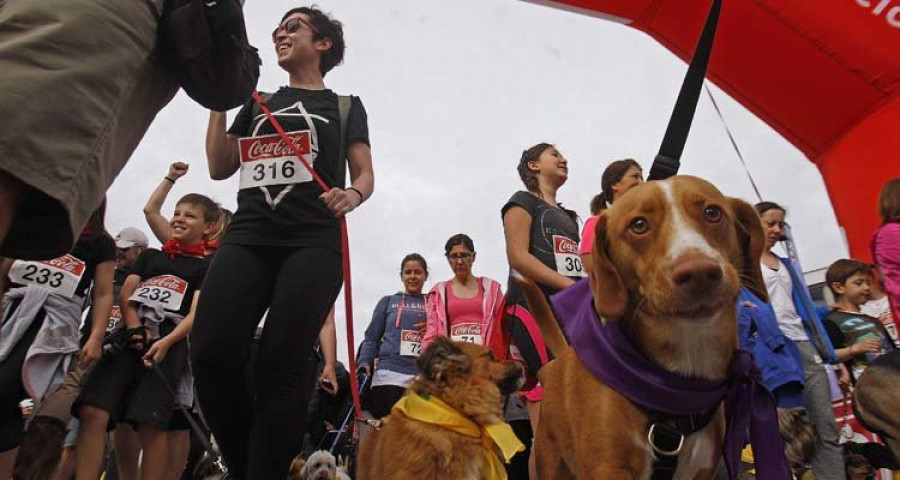 Más de medio millar de personas se suman al segundo Correcán