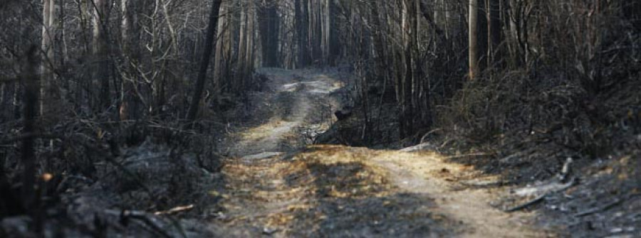 El fiscal de Medio Ambiente prevé “un verano complicado” por los incendios