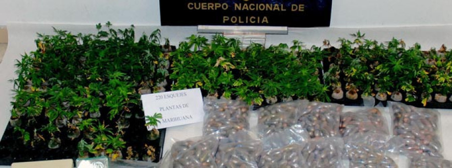 La Policía Nacional desarticula una banda y se incauta de 15 kilos de hachís