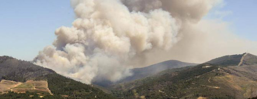 Los parados podrán ser obligados a recuperar las zonas afectadas por fuegos