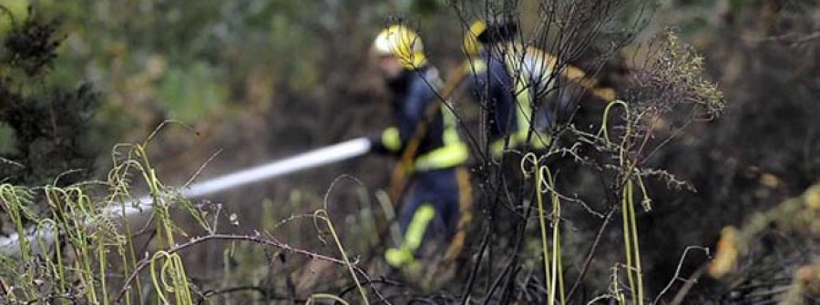 Caen un 20% los fuegos forestales por el mal tiempo y la desaparición de Penamoa