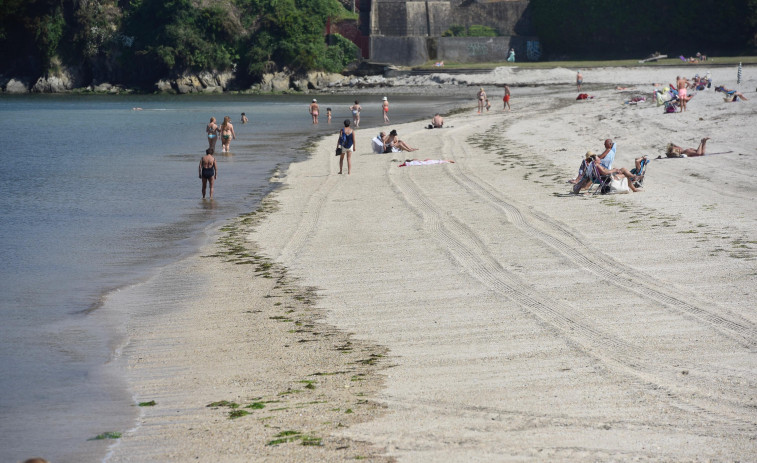 Alertan de la presencia de carabelas portuguesas en playas de Ferrol y Barreiros