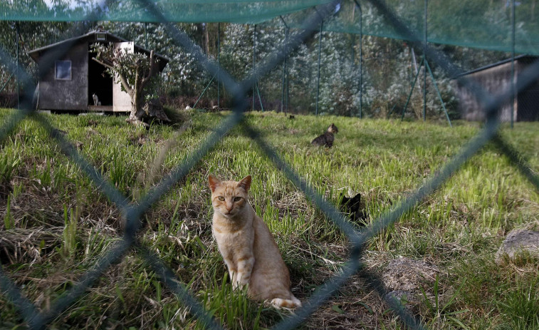 Gatocan reclama por vía notarial que el BBVA abone el premio de la Lotería