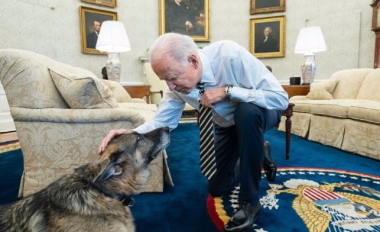 La Casa Blanca anuncia la muerte de 'Champ', uno de los perros del presidente Biden