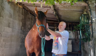 La corta aventura del caballo 