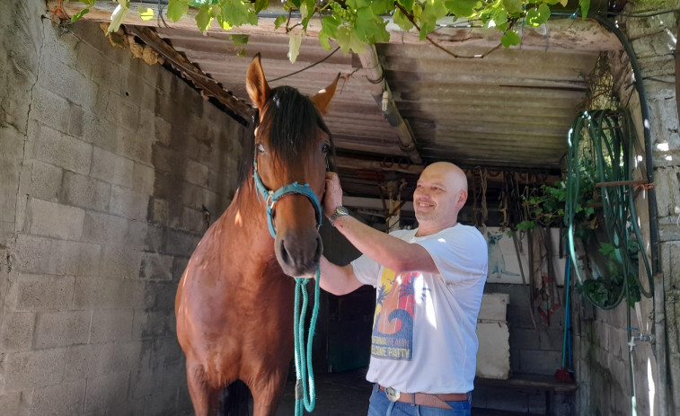 La corta aventura del caballo 