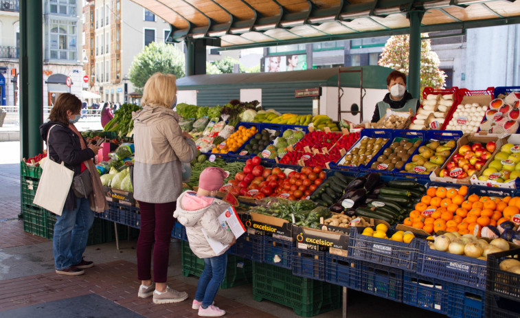 La Xunta destina 1,2 millones a ayudas para el suministro de frutas frescas, castañas y leche en centros escolares