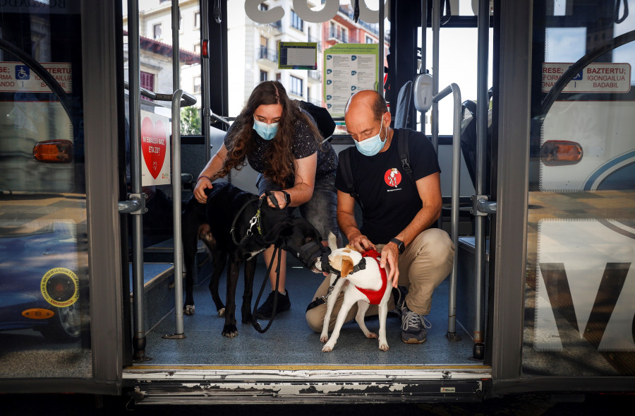 Ourense, entre las siete ciudades españolas que autorizan a los perros a viajar en el bus