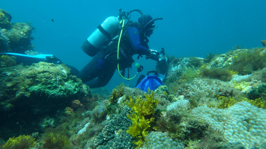 La coruñesa Viviana Peña lidera un estudio mundial sobre océanos