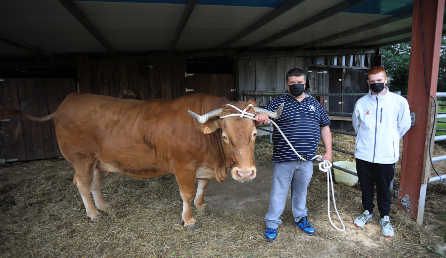 La carne de Pastora, una exquisitez a la venta en Guísamo