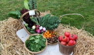 A horta de Porta: fruta y verdura de temporada, del campo a la mesa