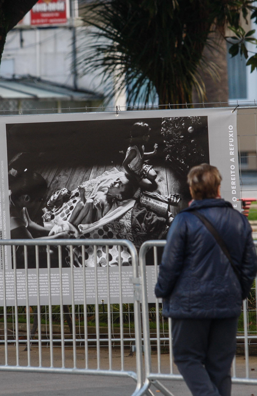 Provocan destrozos en la exposición 'La vida negada' de la red Acampa pola Paz