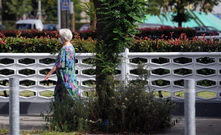 Los vecinos de Elviña denuncian el abandono de las zonas verdes y la presencia de ratas