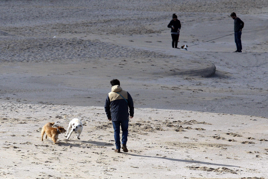 Concentración canina en Riazor para pedir el "acceso total" de los animales a las playas