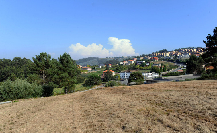 El Bosque de Breogán da los primeros pasos para ser una realidad