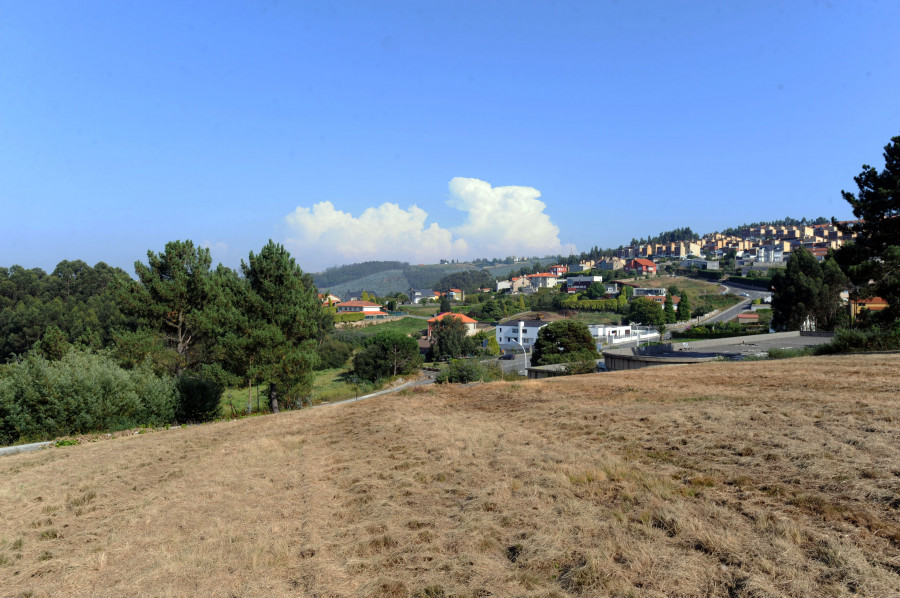 El Bosque de Breogán da los primeros pasos para ser una realidad