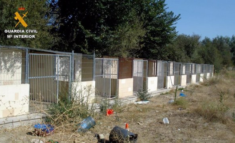 La Guardia Civil detiene a dos personas por la muerte y el maltrato de siete perros en una residencia canina de Madrid