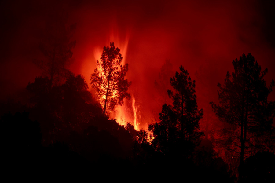 Terrorismo medioambiental