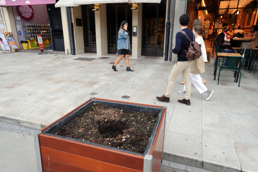 El Ayuntamiento denuncia el robo generalizado de los adornos florales en los distintos barrios