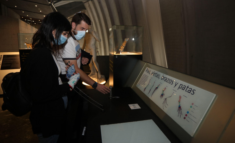 Los Museos Científicos reabren sus zonas interactivas año y medio después