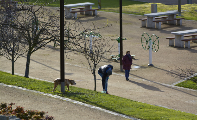 El BNG pide a los dueños de los perros que limpien con agua la orina de sus mascotas en la calle