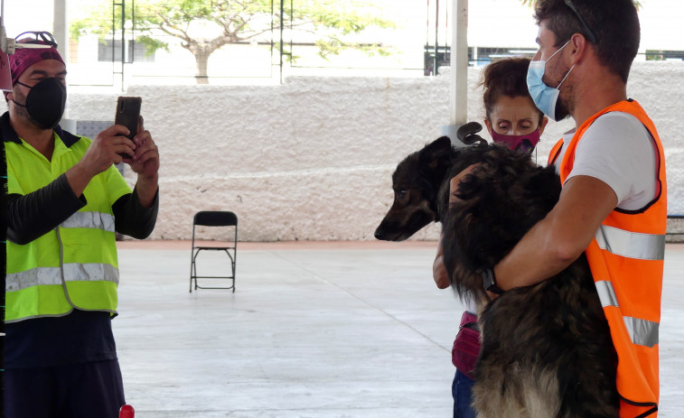 Autorizan el rescate de los perros atrapados entre la lava en La Palma