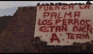 Los perros rodeados de la lava en La Palma llevaban días fuera de allí porque alguien los sacó