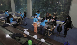 Imágenes de la Feria Isabel Zendal en el Acuario