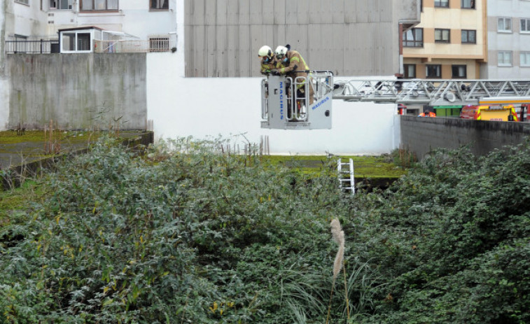 Desbrozan un solar buscando un supuesto bebé que habrían arrojado desde una ventana