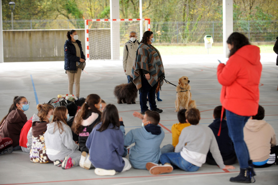 Alumnos del Vila de Rutis aprenden “guiados” por perros de terapia