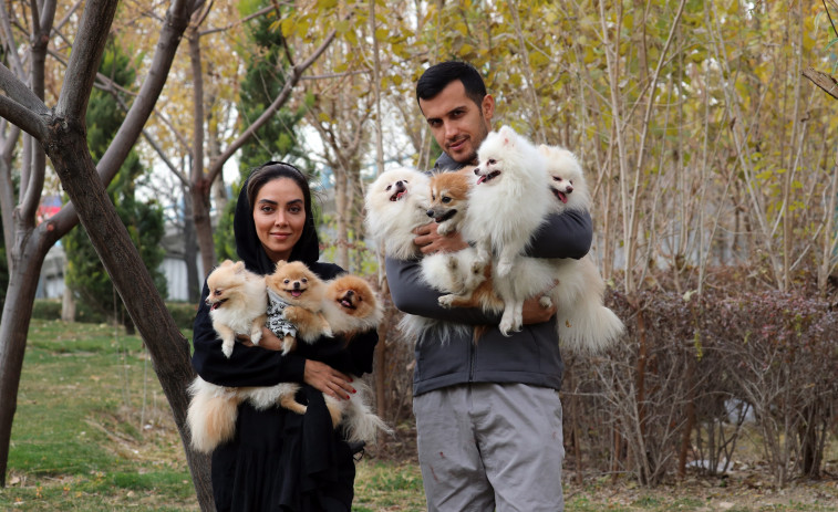 Ni perros ni gatos, Irán se plantea la prohibición de las mascotas
