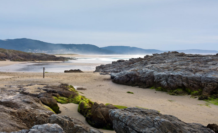 Identificados dos furtivos e intervenidos 22 kilos de percebe en una playa de Carballo