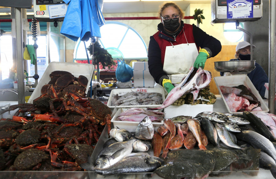 El recorte de un 8% en la pesca de merluza perjudica en Galicia a cerca de 900 barcos